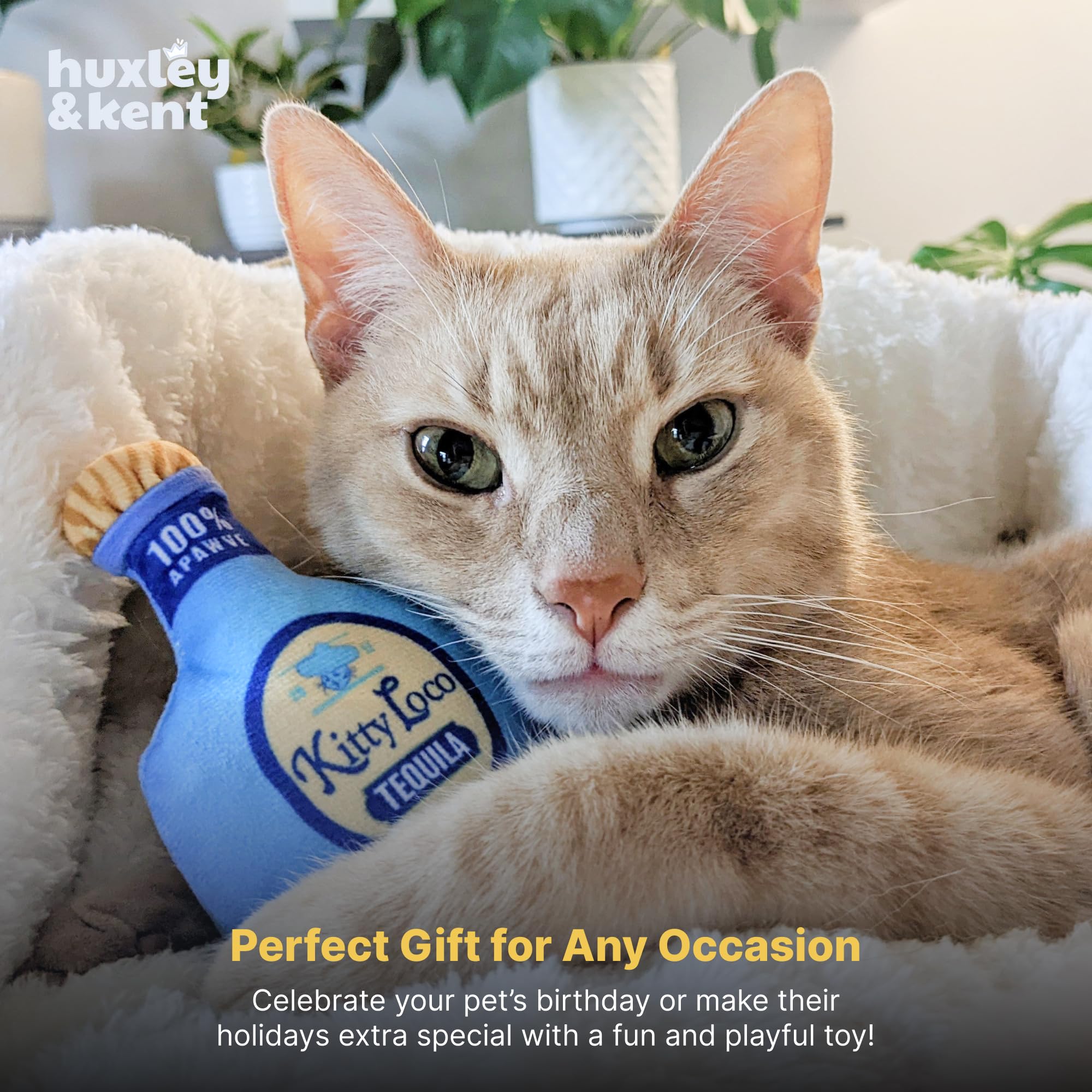 Huxley & Kent Juguete para gatos | Kitty Loco Tequila | Nappy Hour Strong Catnip Filled Cat Toy | Juguete de peluche suave con hierba gatera y arruga | Kittybelles