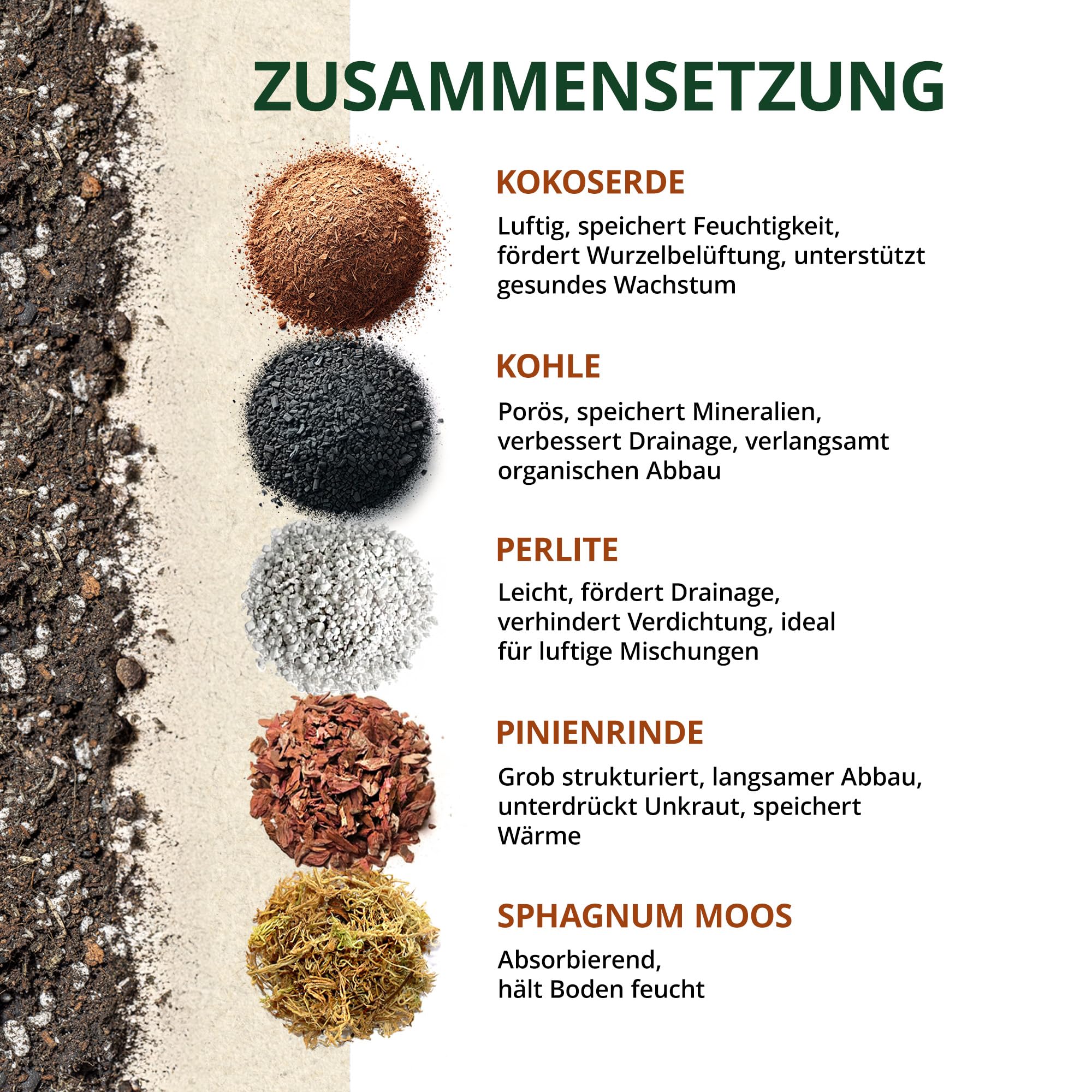 Monstera Erde für Zimmerpflanzen und Garten - 6L Monstera Substrat für Pflanzen, Palmen, Blumen - 5 Komponenten Blumenerde