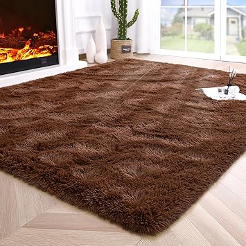 Amazon.com: Noahas Extra Large 10x14 Area Rugs for Living Room,Fluffy ...