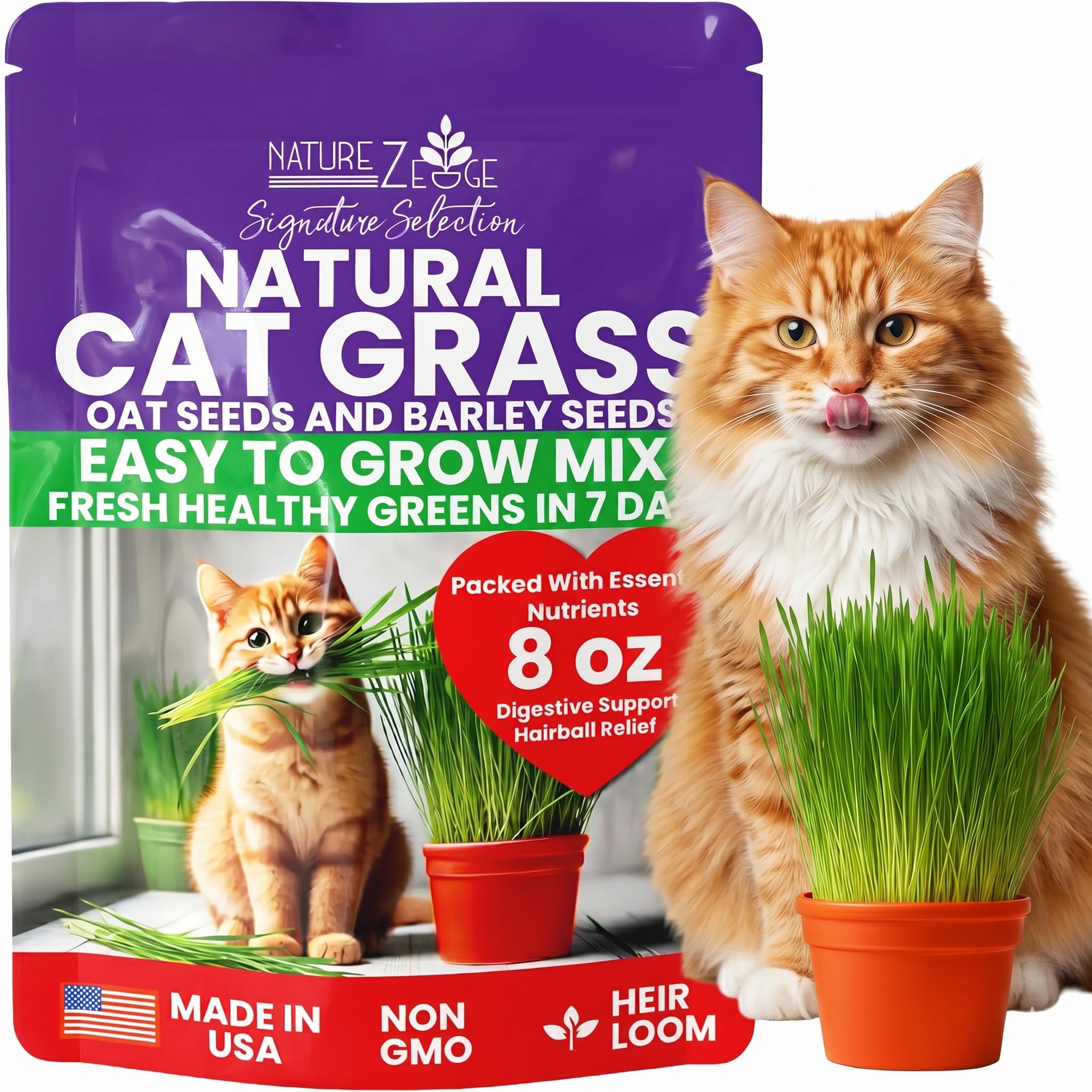 NatureZ Edge Premium Cat Grass Seeds