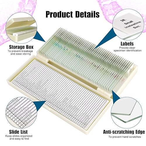Miniatura 4 de Juego de 50 portafolios de microscopio preparados con especímenes para estudiantes biología y ciencia educación temprana juego de diapositivas de