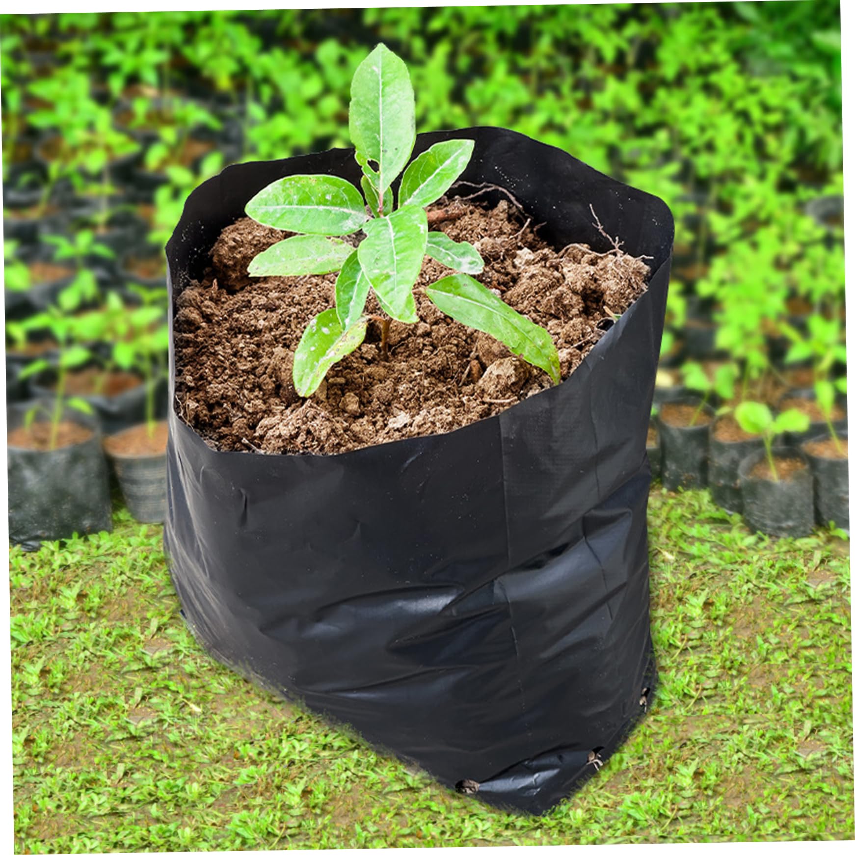 100-Pack Black Plastic Grow Bags For Plants - Nursery Pots, Garden Planting  Pouches