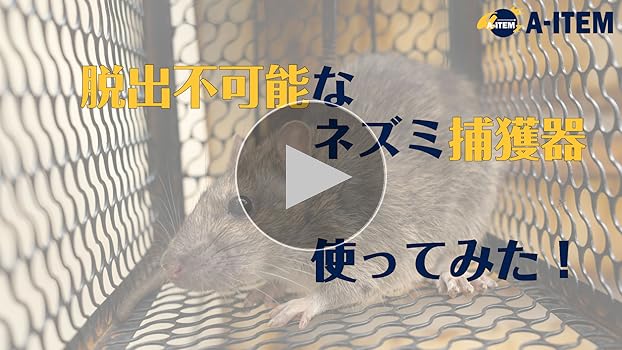 ねずみ Amazon.co.jp: A-ITEM ネズミ捕獲器 シンプルl構造 ドブネズミ