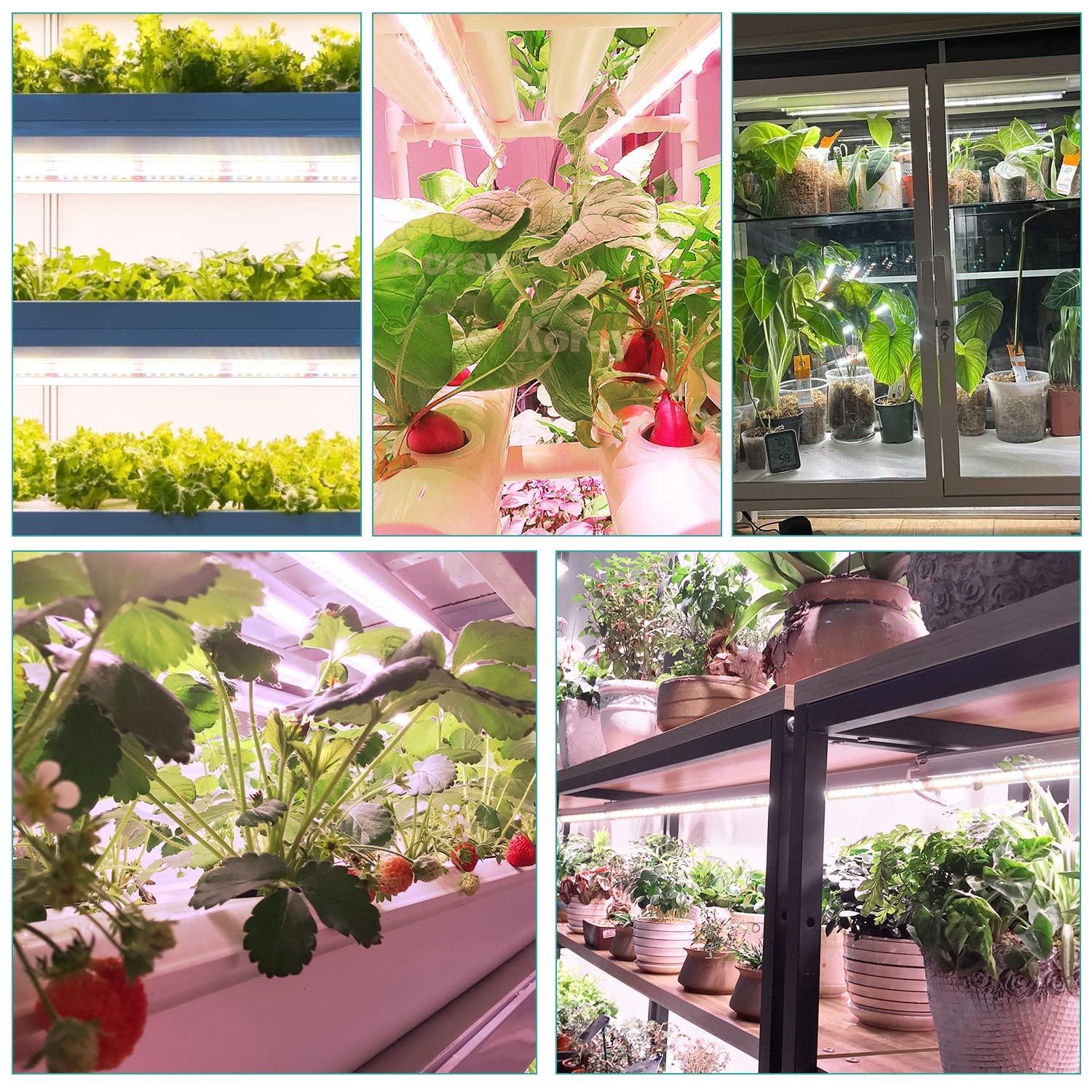 Niello 4 tiras de luces de cultivo, luz de planta de 60cm y 72W, lámpara de cultivo T8 para plantas de interior, luces de planta de luz solar de espectro completo con 3000 K 6500 K 660 nm