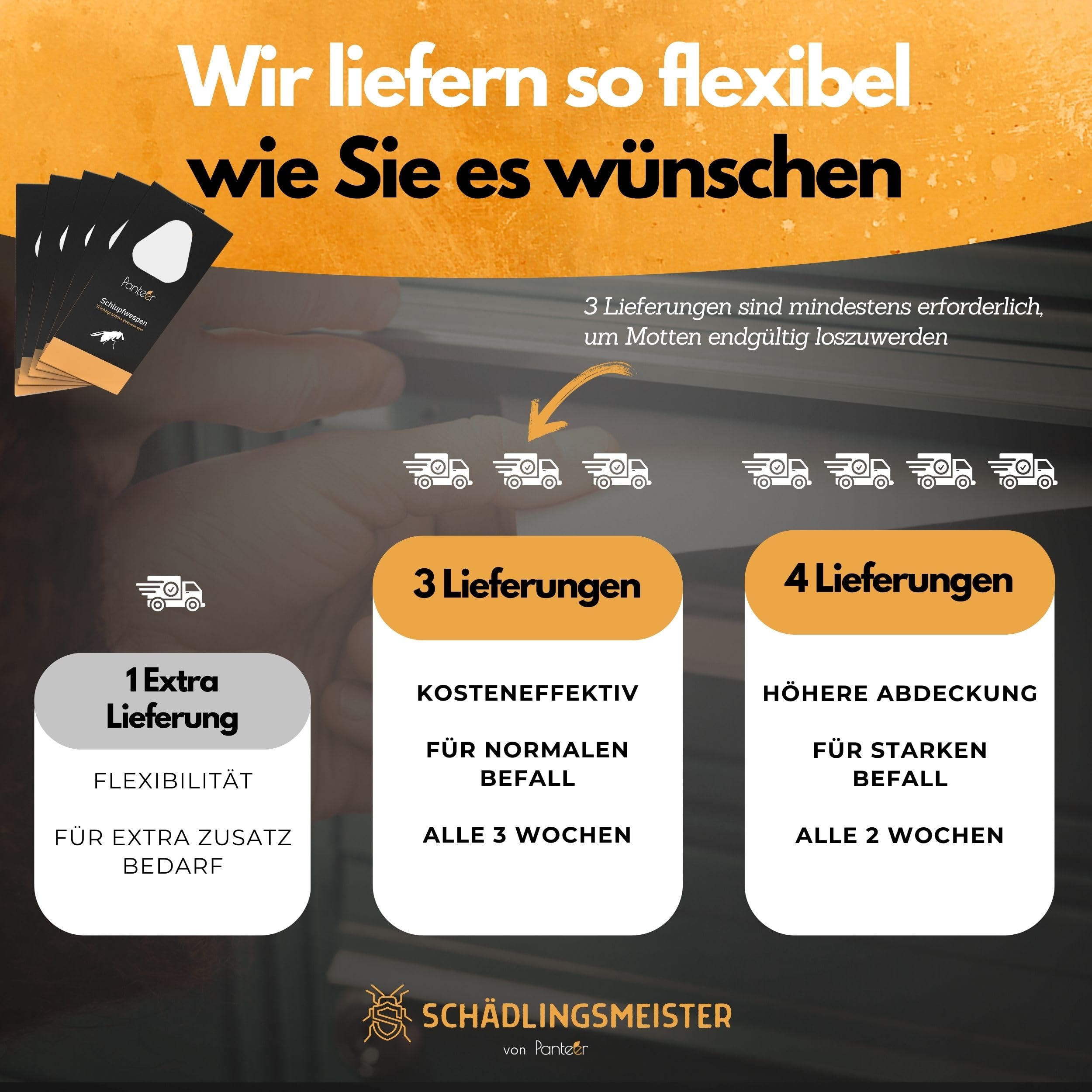 Panteer ® Schlupfwespen gegen Lebensmittelmotten + GRATIS Mottenfalle (8 Karten, 4 Lieferungen) - Schlupfwespen, Schlupfwespen Lebensmittelmotte, Mottenfalle Lebensmittel, Schlupfwespen gegen Motten