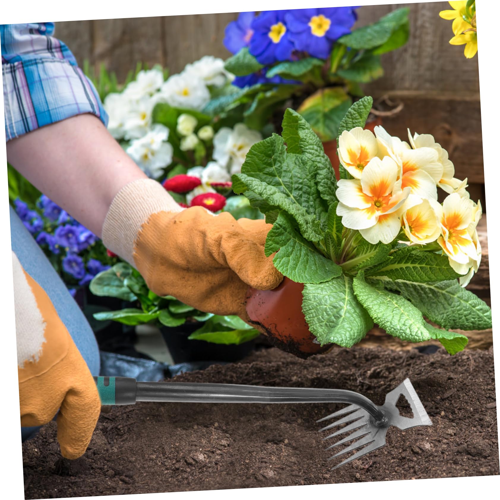 Toddmomy 3 Piezas Extractor de Malezas Manual de Inoxidable Herramienta de Jardinería para Principiantes Deshierbe y Ergonomía para Caminos
