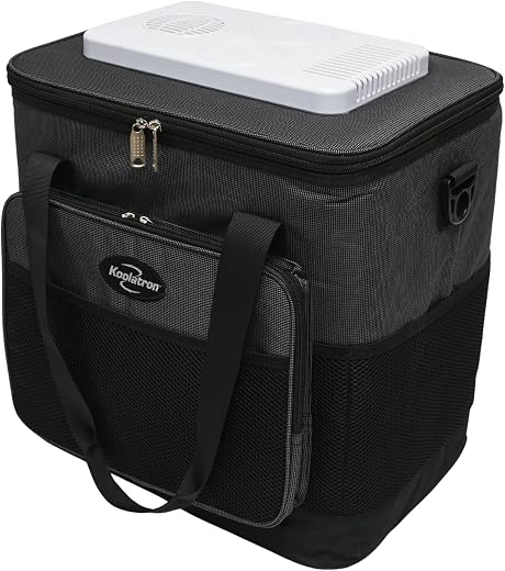 D-25 Koolatron 12 volt Soft Bag Cooler D25