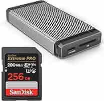 SANDISK　SDCFSP-256G-J46D [256GB] SanDisk 256GB Ultra Luxe USB 3.1 Flash Drive, Speed Up to