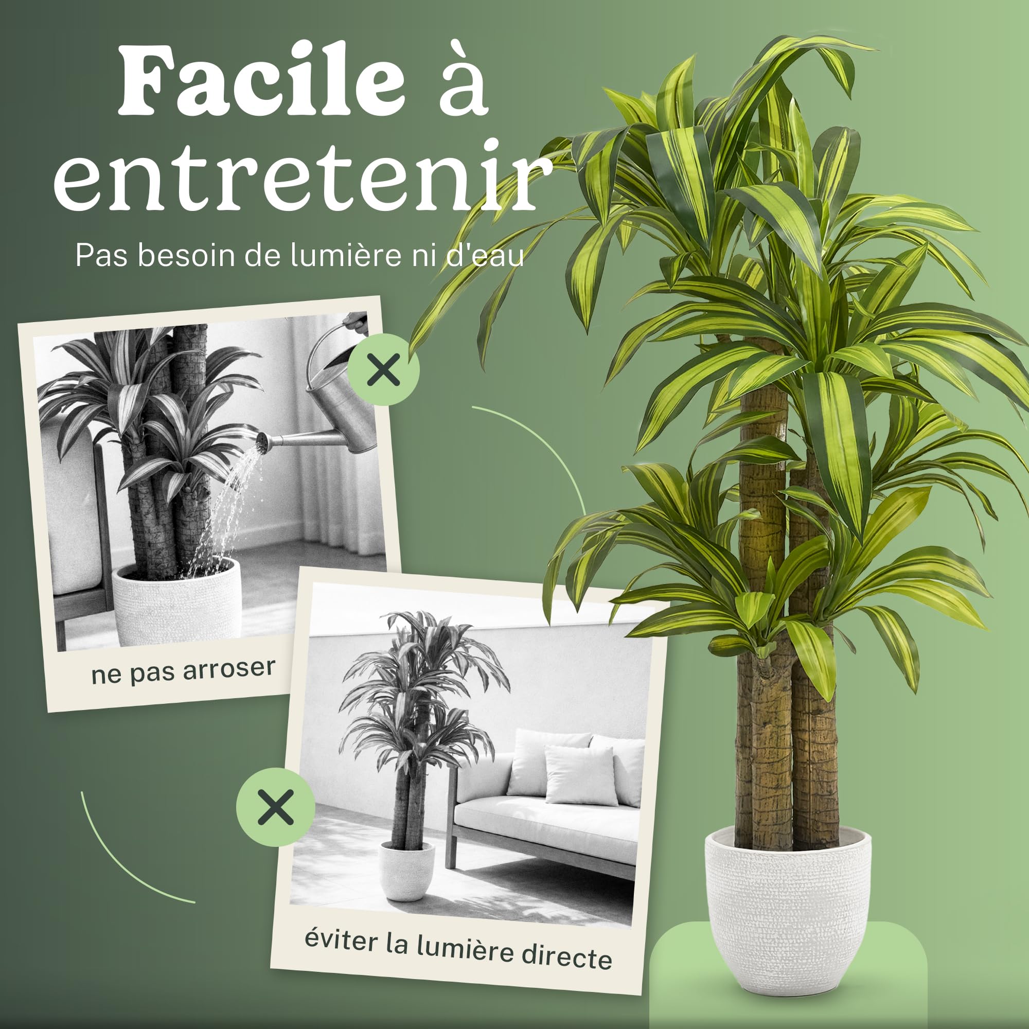 Maia Shop Dracaena Artificielle 150 cm - Faux Arbre d'Intérieur