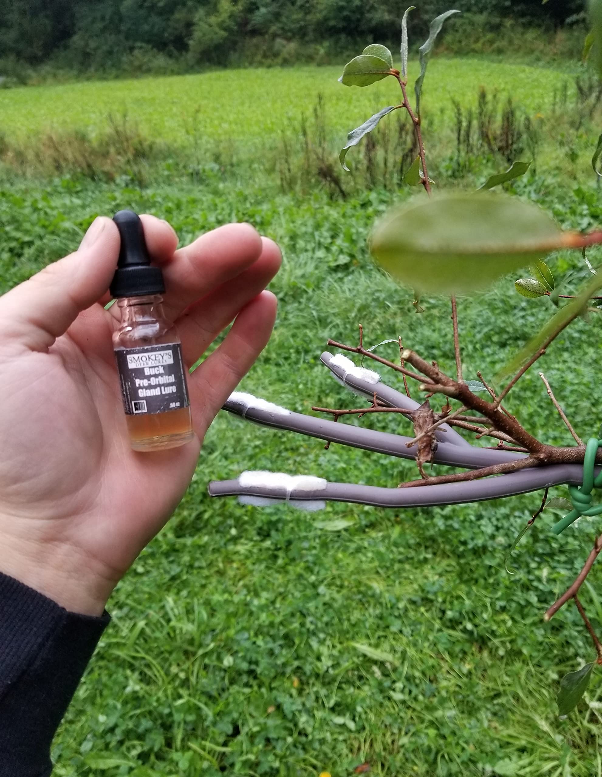 Hightower Products Smokey's 4 Buck Compound Pre-Orbital Gland Lure