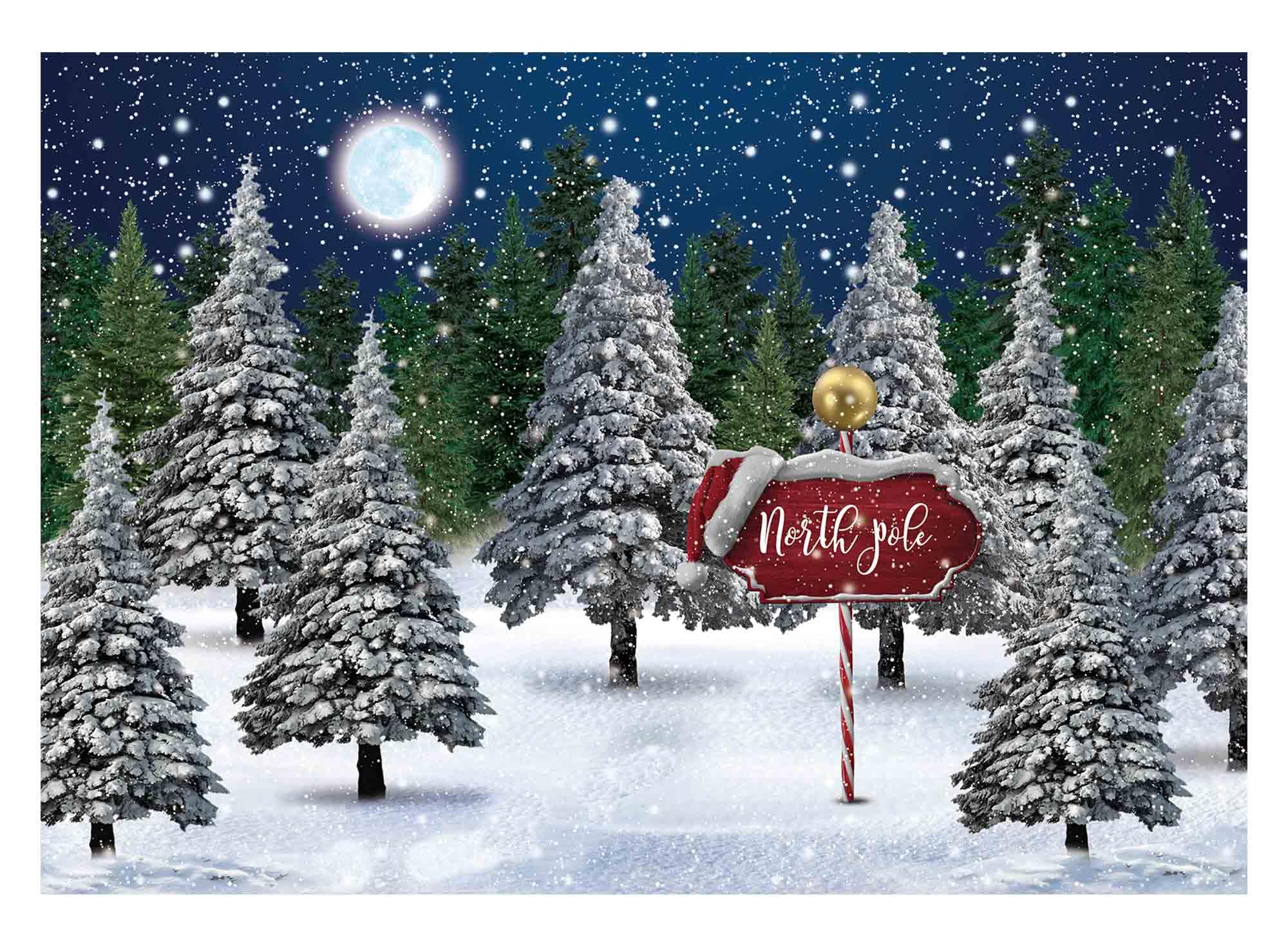 Allenjoy Winter Snowing Night Landscape Forest Backdrop Christmas Wonderland North Pole Moon Snowflake Snow Scene Pine Kids Newborn Photo Booth Props