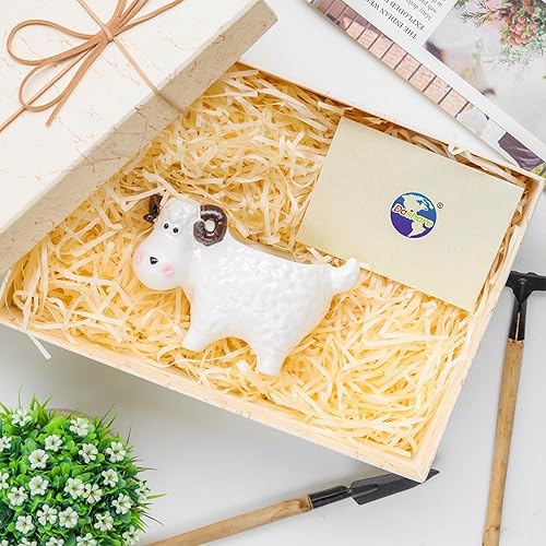 Miniatura 3 de Adorable maceta de cerámica para suculentas  Maceta de interior con drenaje  Contenedor de cerámica blanca para cactus  flores para decoración del