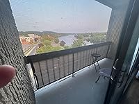 Review Image by Gabriel N. Gabriel N.