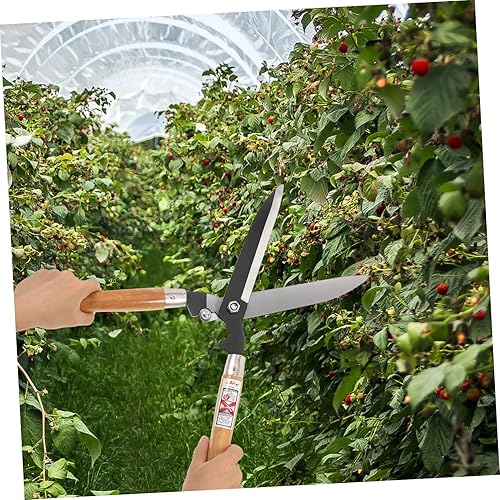 Miniatura 3 de Yardwe Tijeras de flores, tijeras de podar para jardín, tijeras de podar para jardinería, tijeras de podar para cortar árboles, tijeras de jardín de