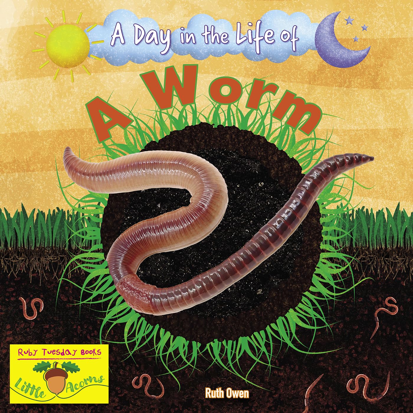 A Worm by Ruth Owen (Paperback Book)
