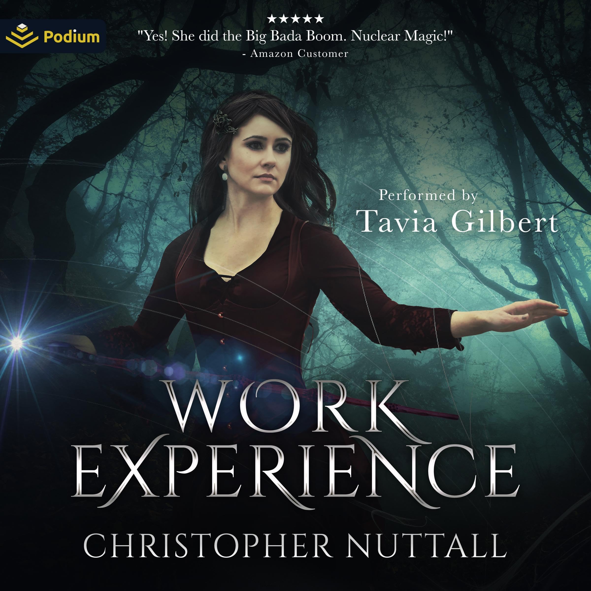 Cover art for Work Experience