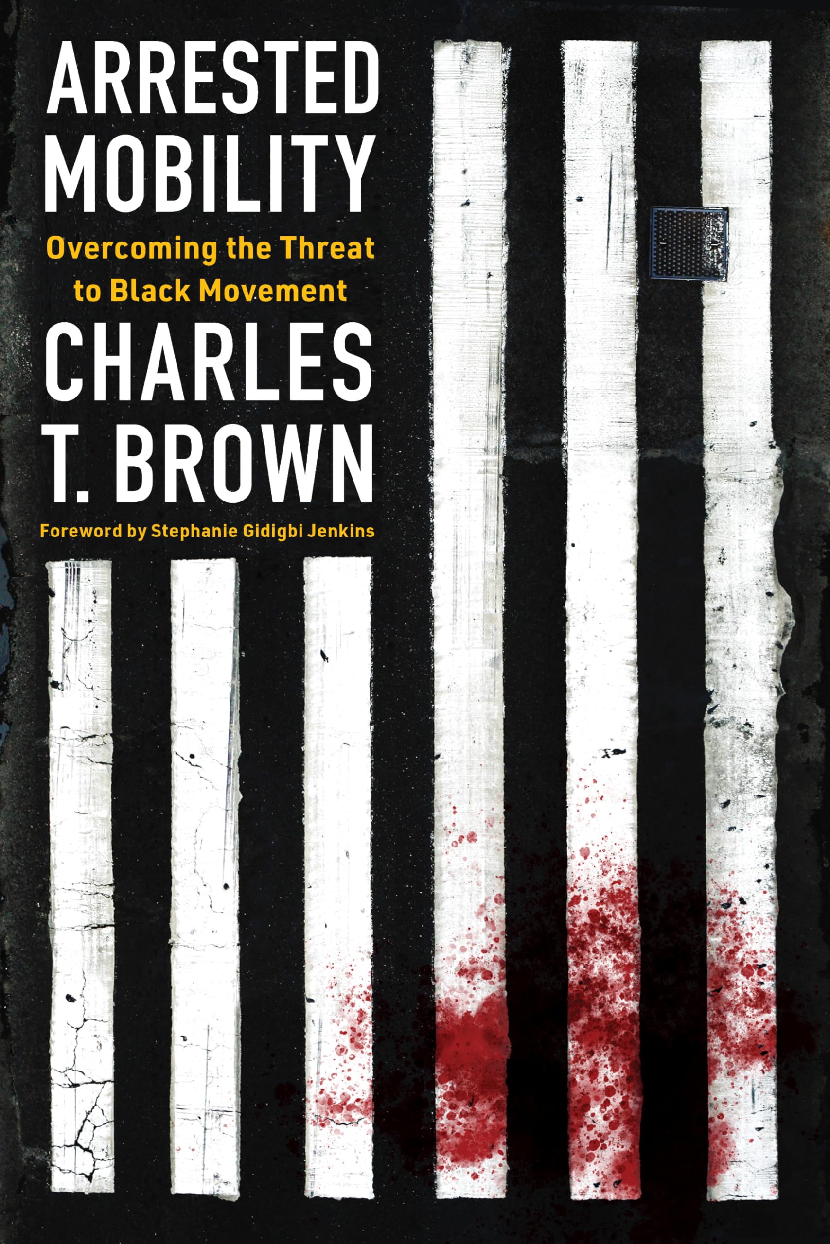 Arrested Mobility essai sociologie discrimination raciale et droits civiques