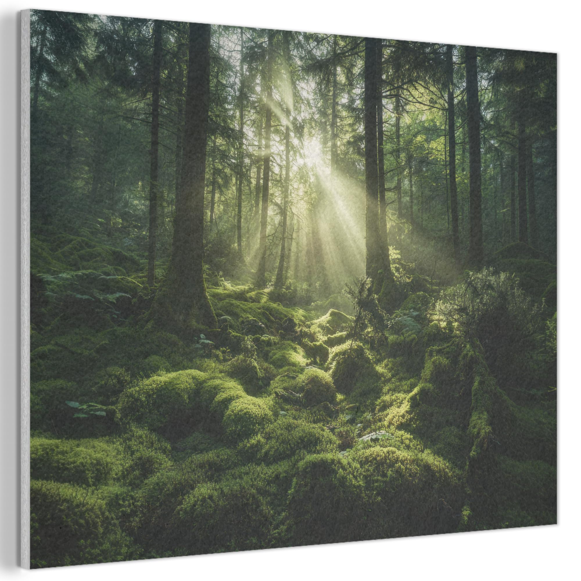 MuchoWow© Felt Panel 80x60 cm Framed Print Painting for Entryway Interior Accent Decoration Wall Art Sunbeams - Forest - Moss - Green