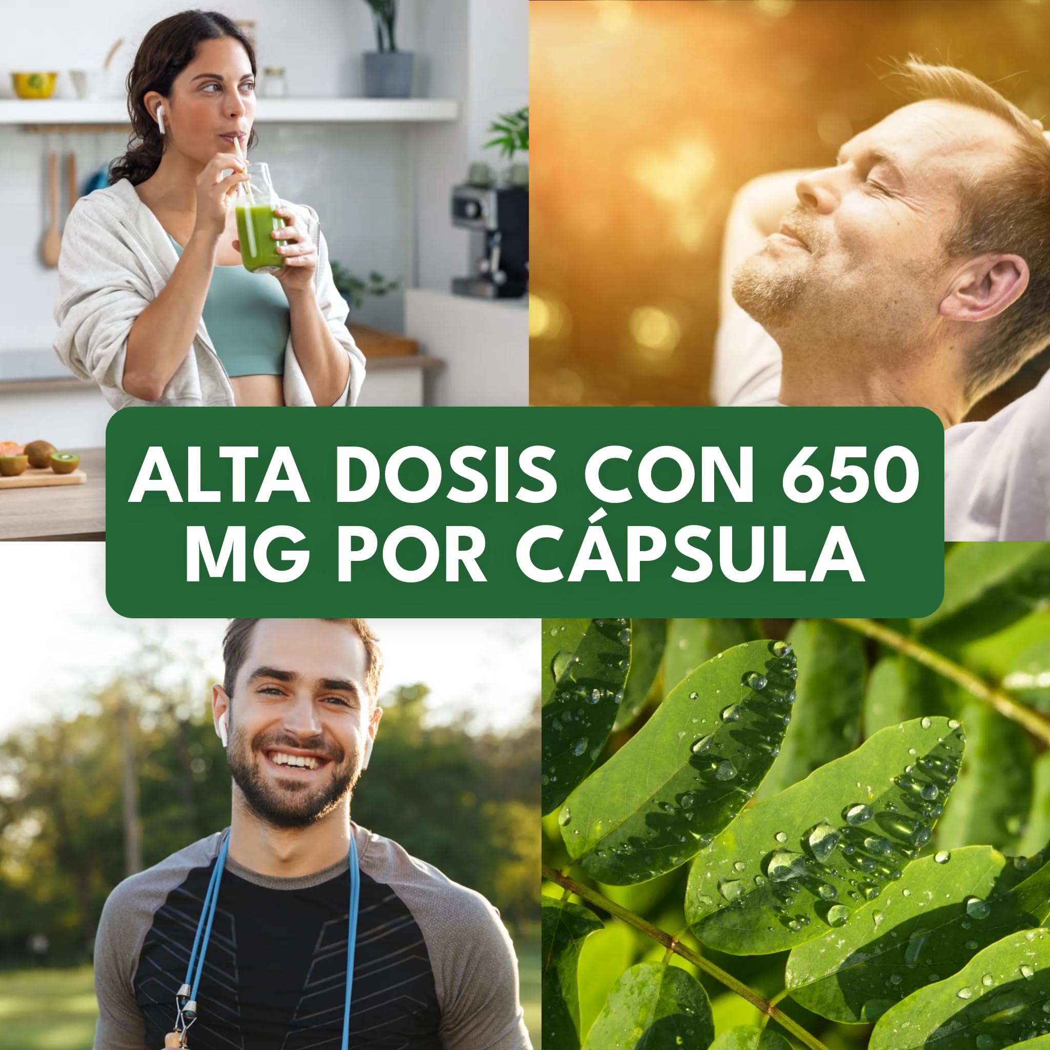 Moringa Oleifera – Alta dosis: 19.500 mg de polvo de moringa (1.950 mg de extracto (10:1)) – 100% vegano y sin aditivos – 270 cápsulas (3 meses) – Vegano y analizado en laboratorio – Green Naturals®