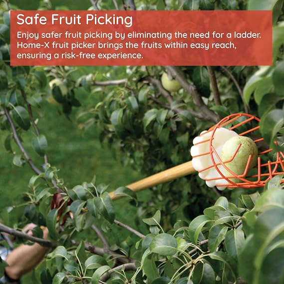 Home-X Fruit Picker Basket - Sturdy Tree Picker Tool with Adjustable Knob - Apple, Avocado, Peach, Pear, Lemon Grabber