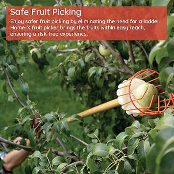 Home-X Fruit Picker Basket - Sturdy Tree Picker Tool with Adjustable Knob - Apple, Avocado, Peach, Pear, Lemon Grabber