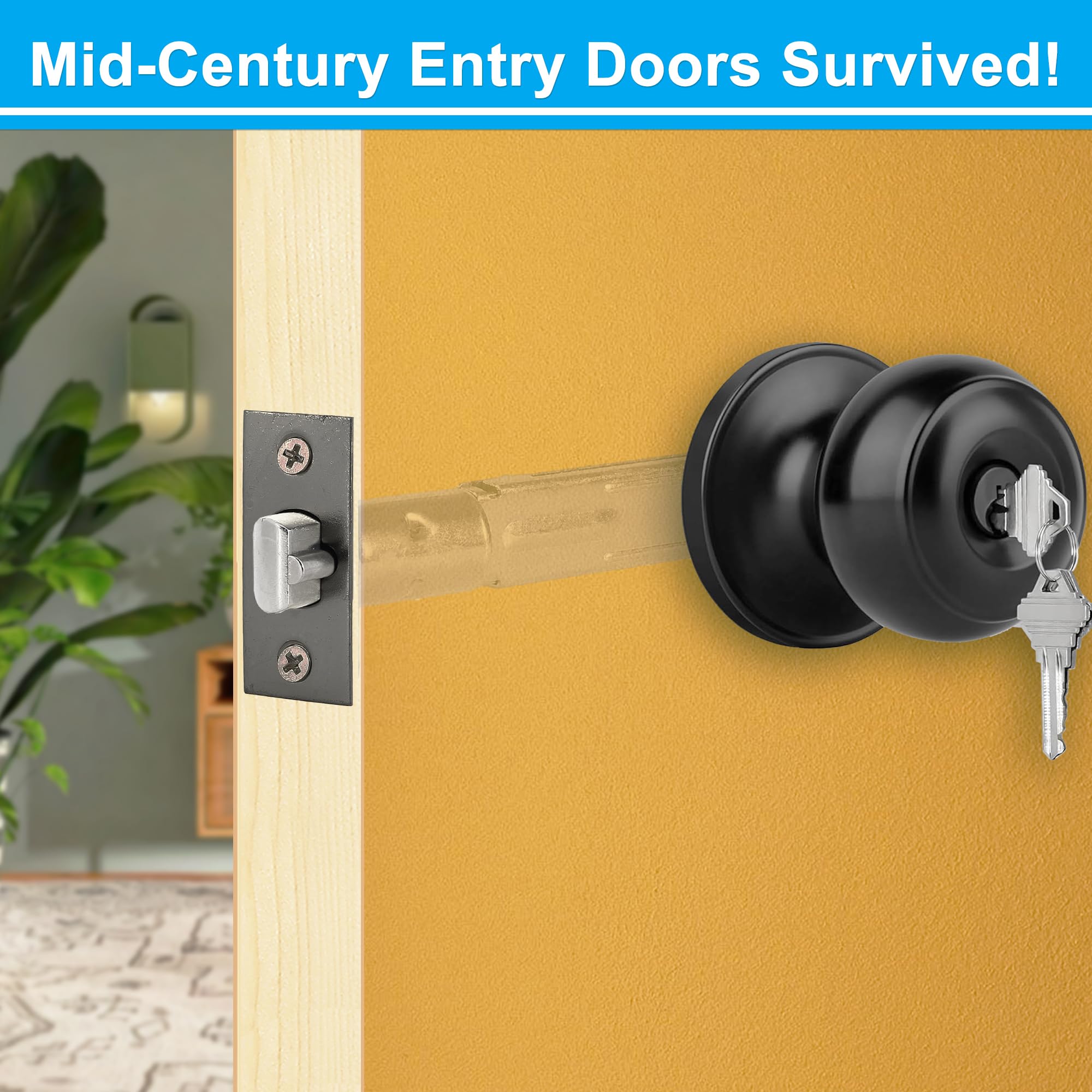 Matte Black Entry Door Latch - Keyed Security -6