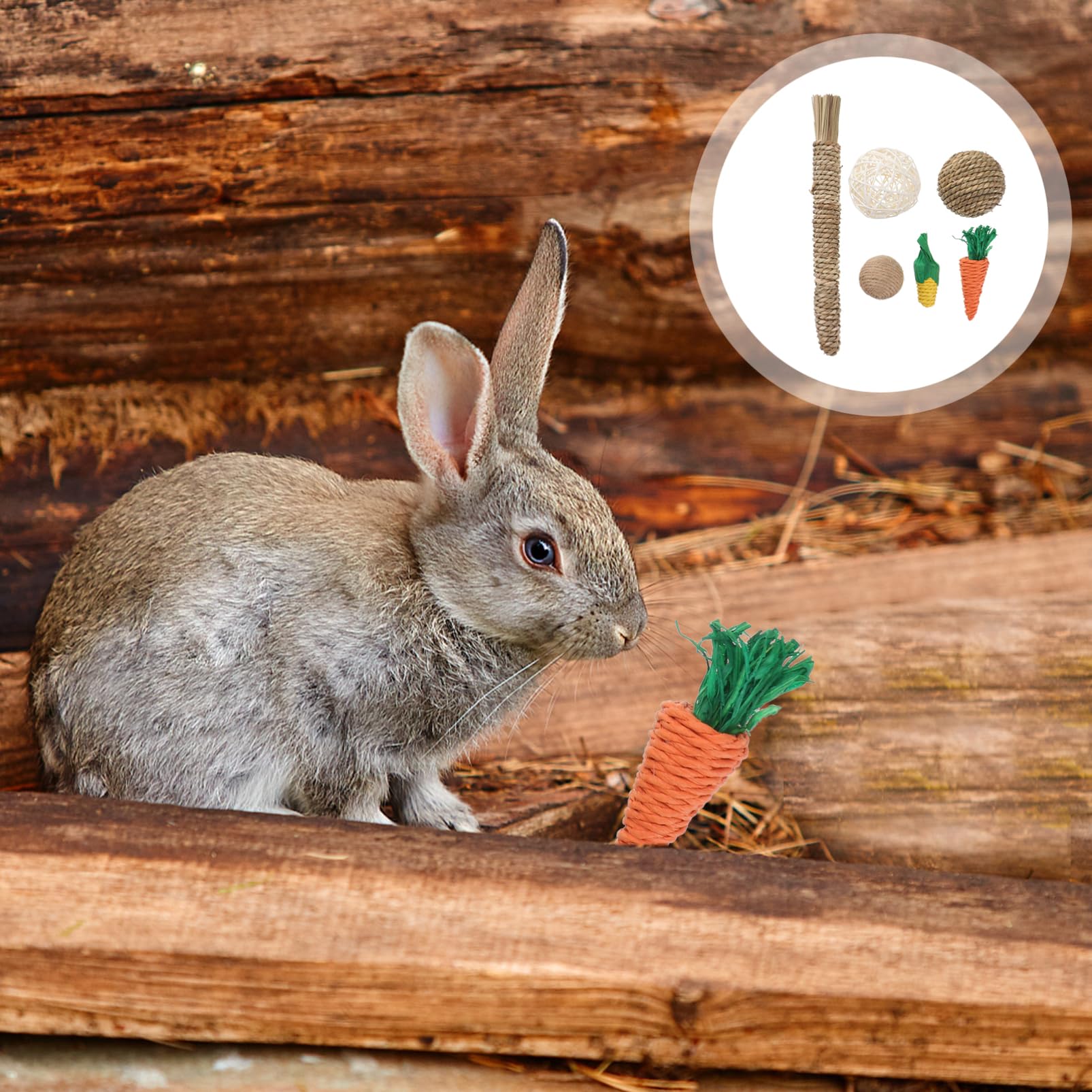 DOITOOL 12piezas Masticables para Mascotas Juguetes para Hámsters y Aves De Juguetes De Molar para Limpieza Interacción Segura y Divertida