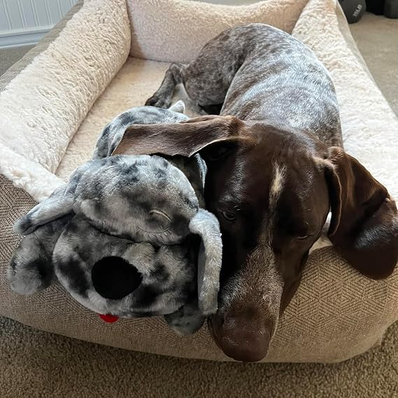 Snuggle Puppy Original Heartbeat Stuffed Toy for Dogs. Pet Anxiety Relief and Calming Aid, Comfort Toy for Behavioral Training in Merle