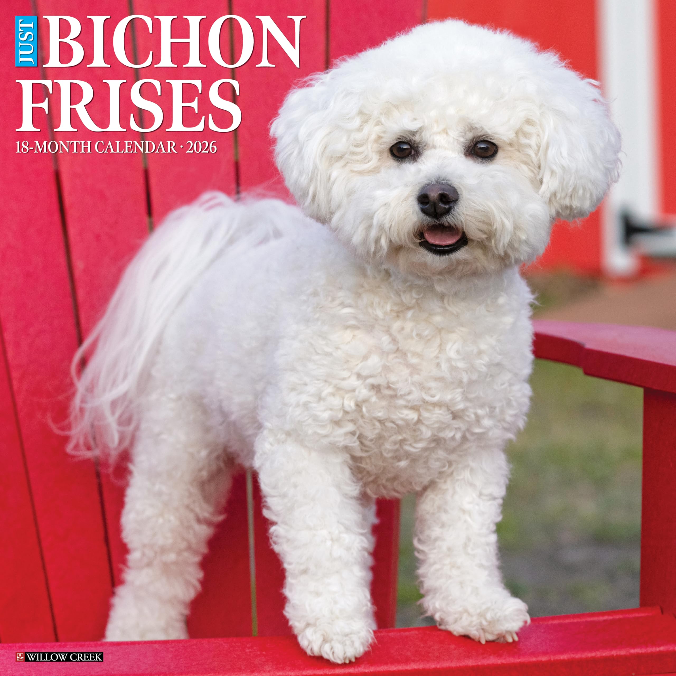 Bichon Frises 2026 12 X 12 Wall Calendar