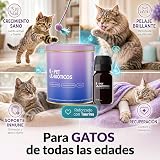 Ver la foto 2