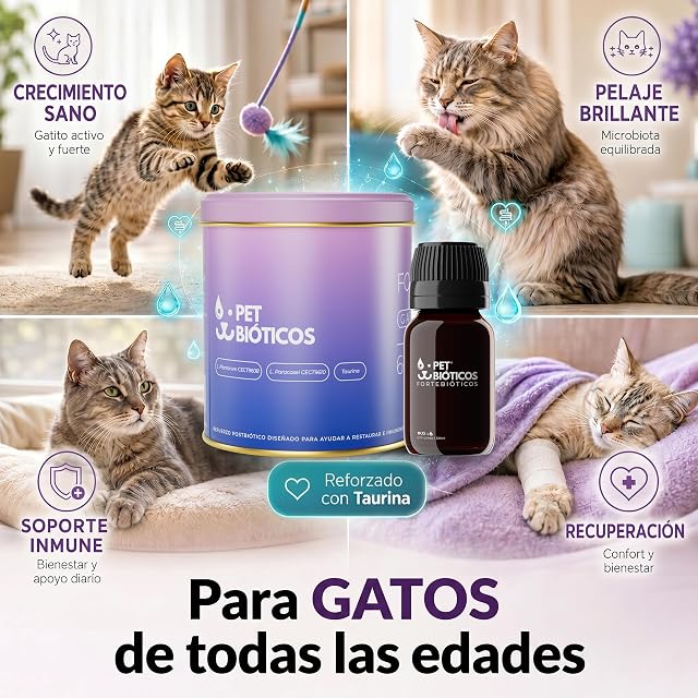 Foto 2 de 5 de PETBIÓTICOS Fortebióticos Gatos 600 Gotas 30 ml