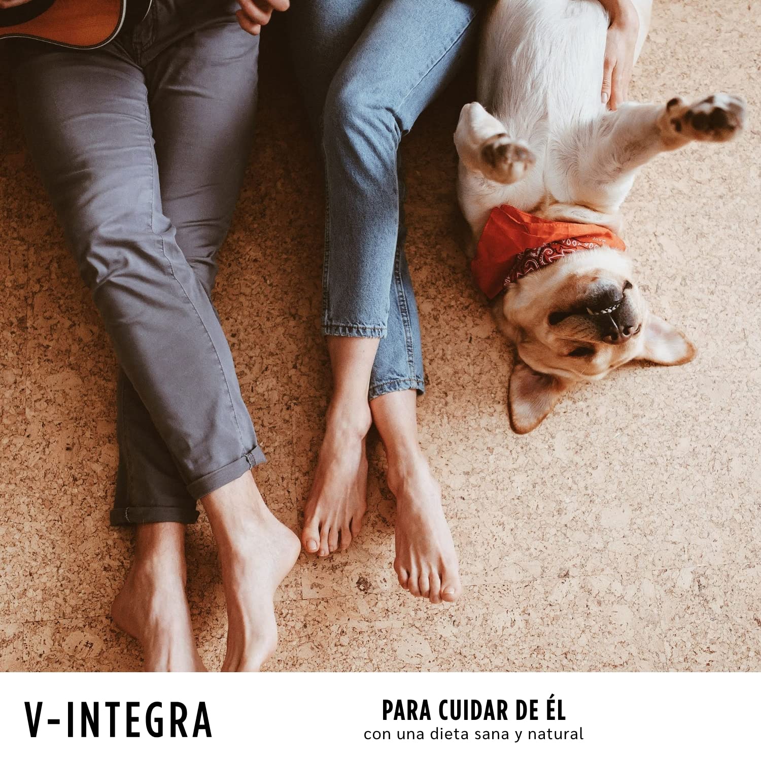 V INTEGRA Epato 200g, Suplemento de Vitaminas y Minerales para Equilibrar Las Dieta Casera de Perros y Gatos Que Requieren Restricción de Cobre, Vitaminas para Perros y Gatos Made in Italy