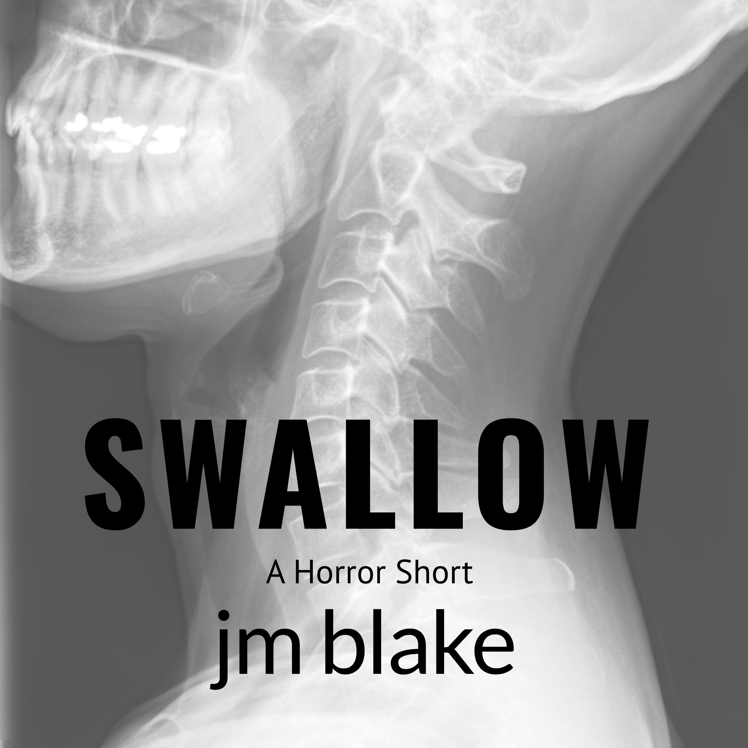 Cover art for Swallow