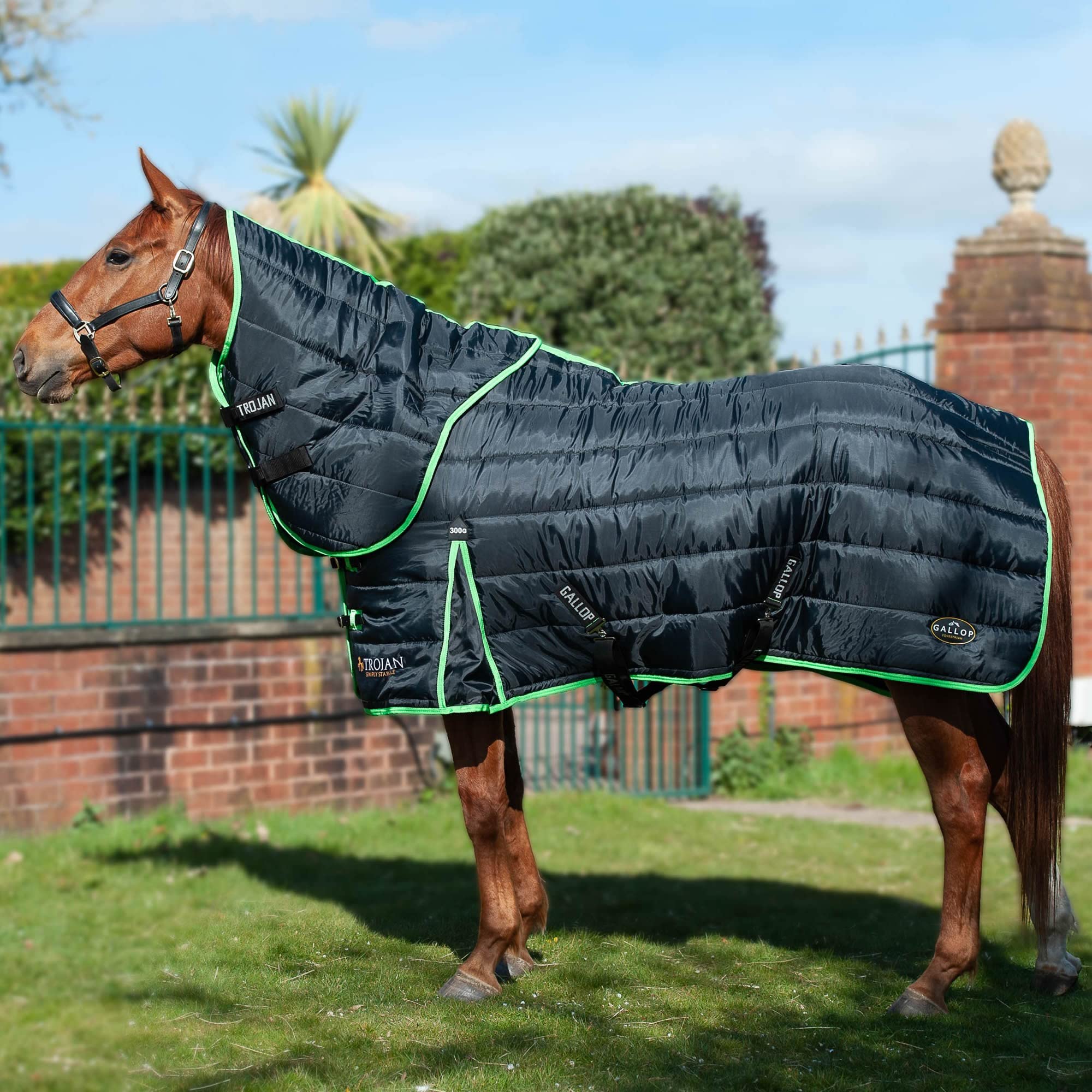 Gallop Trojan Dual 300g Horse Indoor Stable Rug & Neck Set Heavyweight Quilt (5'6", Black/Green)