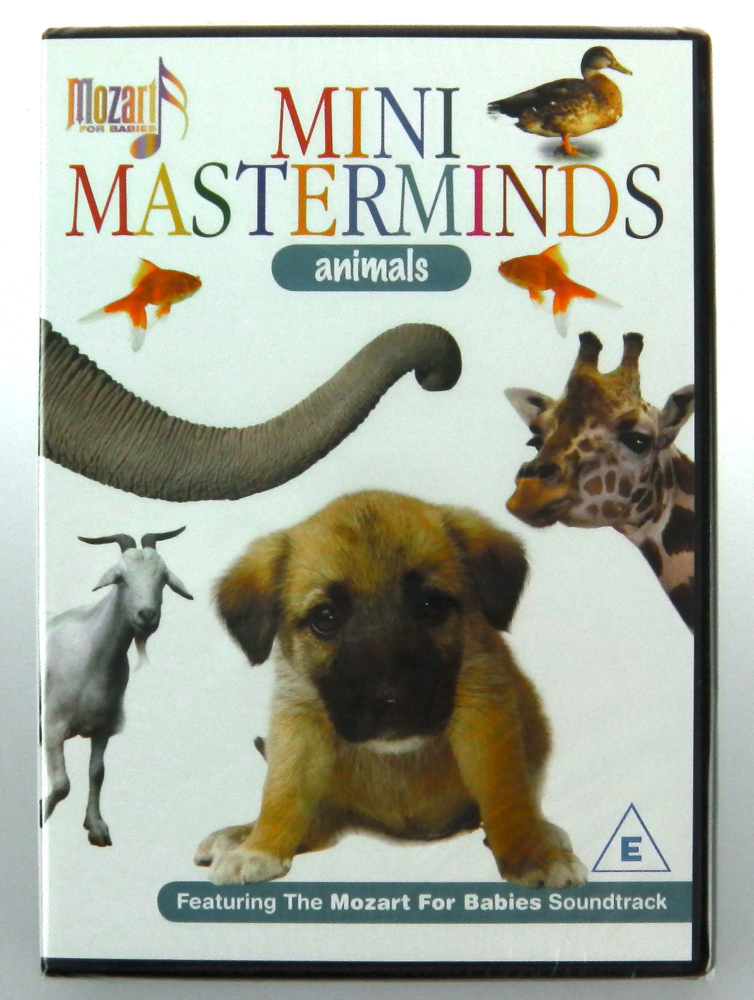 Mini Masterminds - Animals