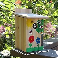 Vista 3 de Nature's Way Bird Products DIY Primera ventana de visualización Jardín-Casa-Pájaro, Madera