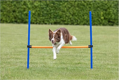 Miniatura 2 de TRIXIE Agility Hurdle - Salto ajustable para perros, ideal para principiantes y avanzados, equipo de carrera de obstáculos para perros, 1 obstáculo