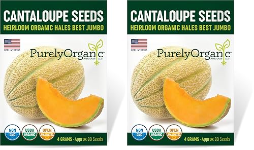 Organic Cantaloupe Seeds (Hales Best Jumbo) - Approx 80 Seeds