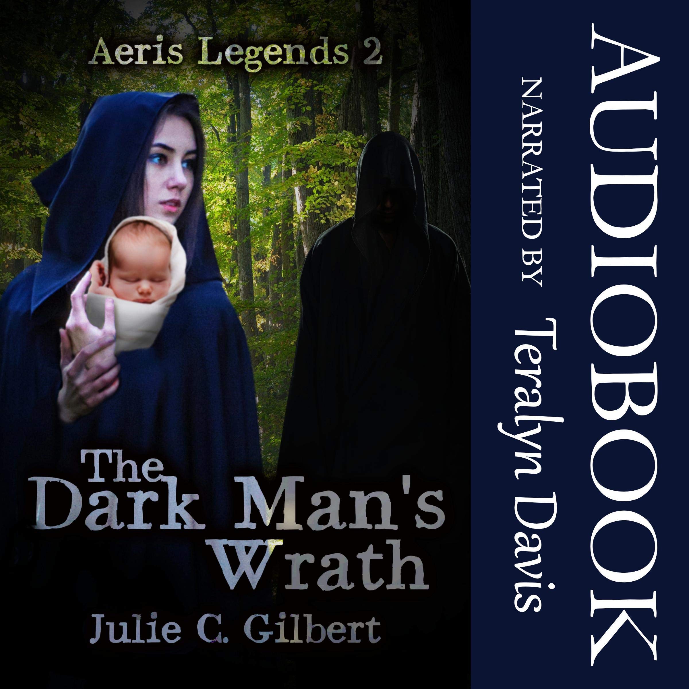 Cover art for The Dark Man's Wrath