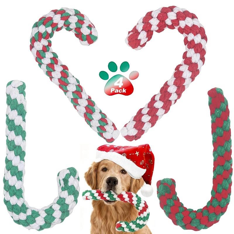 Brinquedo de corda para cães em algodão com design de bengala de Natal Yteseery, pacote com 4