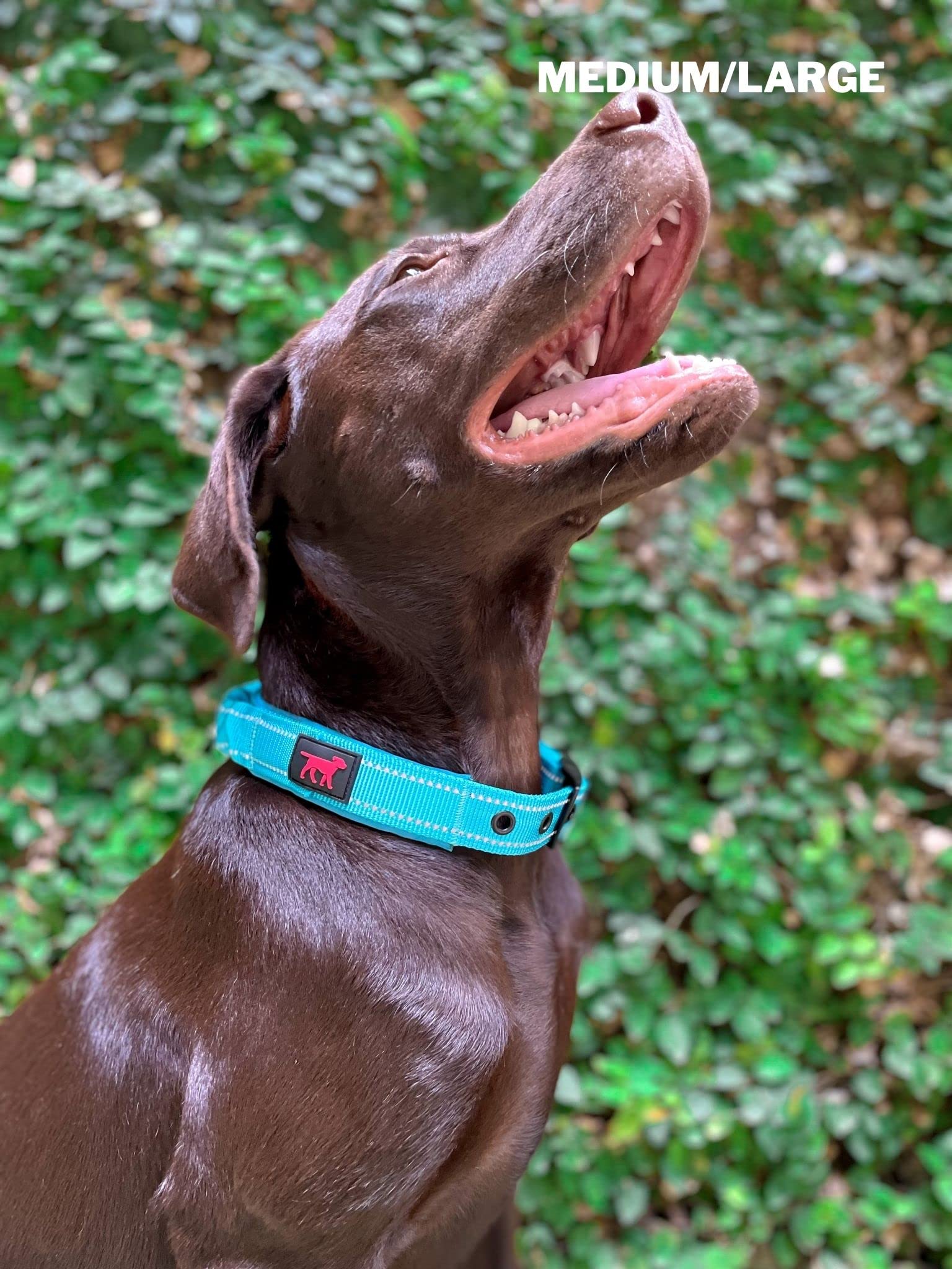Collare per cani resistente Tuff Pupper con manico | Collare resistente in nylon balistico | Collare per cani riflettente imbottito con hardware regolabile in acciaio inossidabile