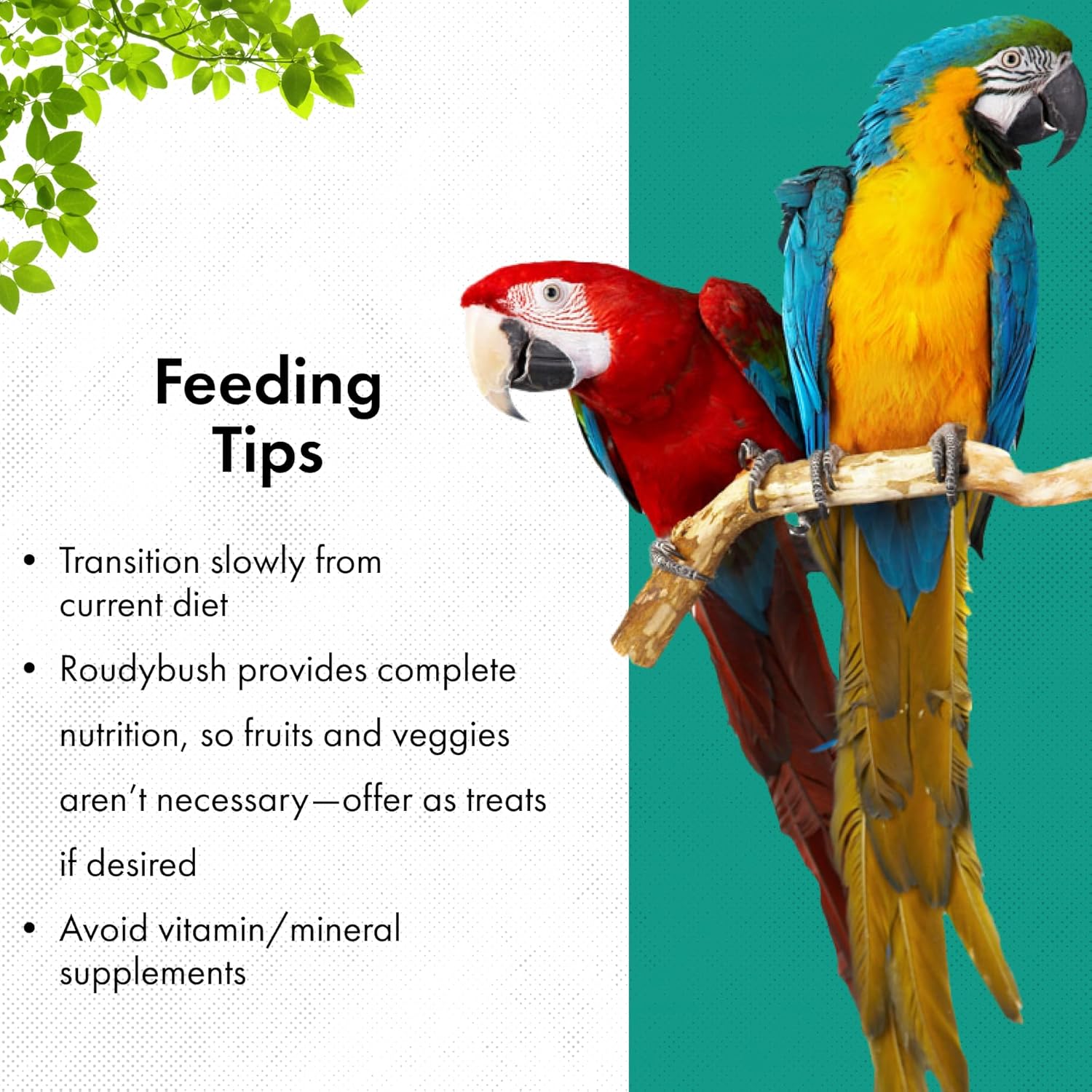 Roudybush Lory Nectar 15 Bird Food, 15-Pound