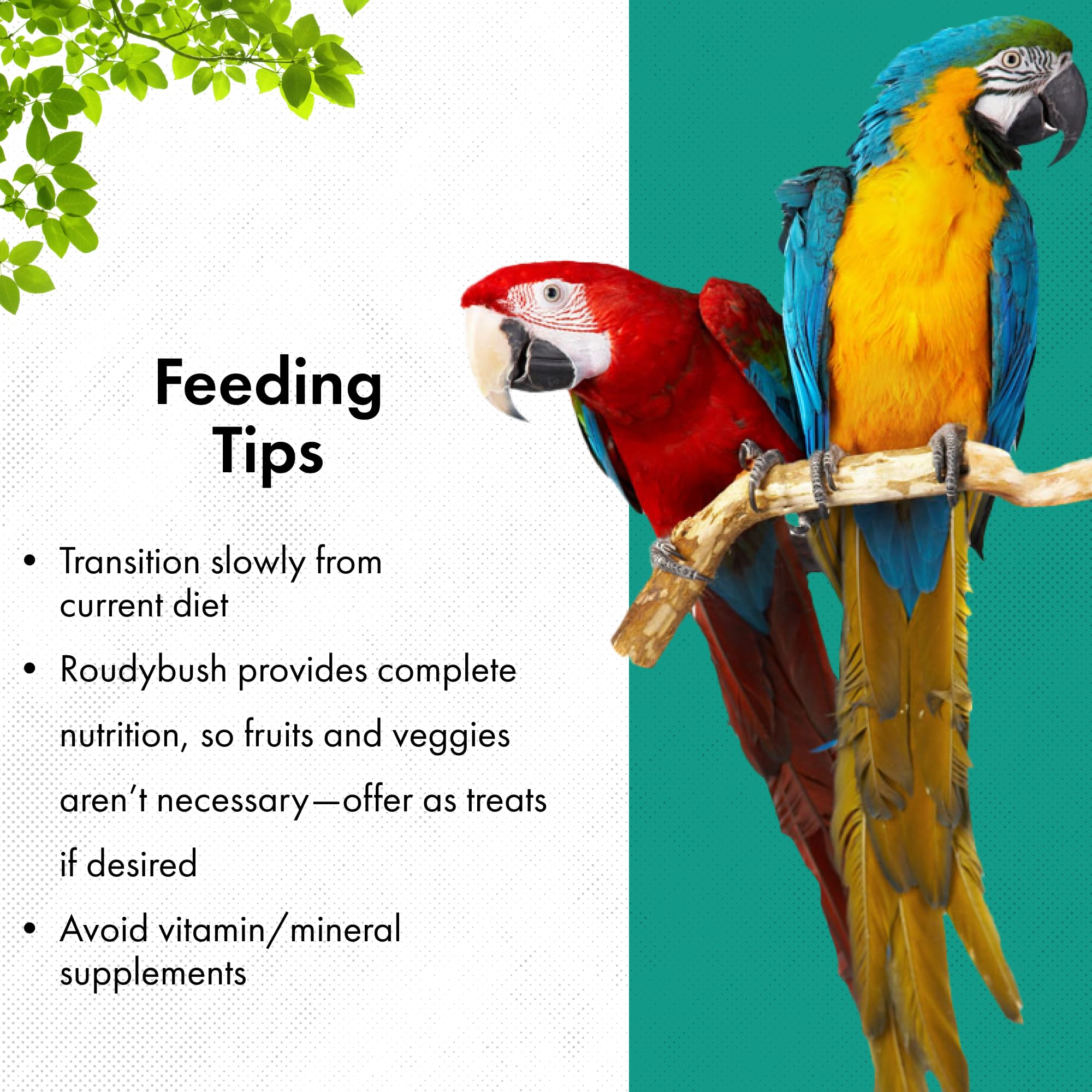Amazon.com : RoudyBush Lory Nectar 15 for Lories & Lorikeets, 15
