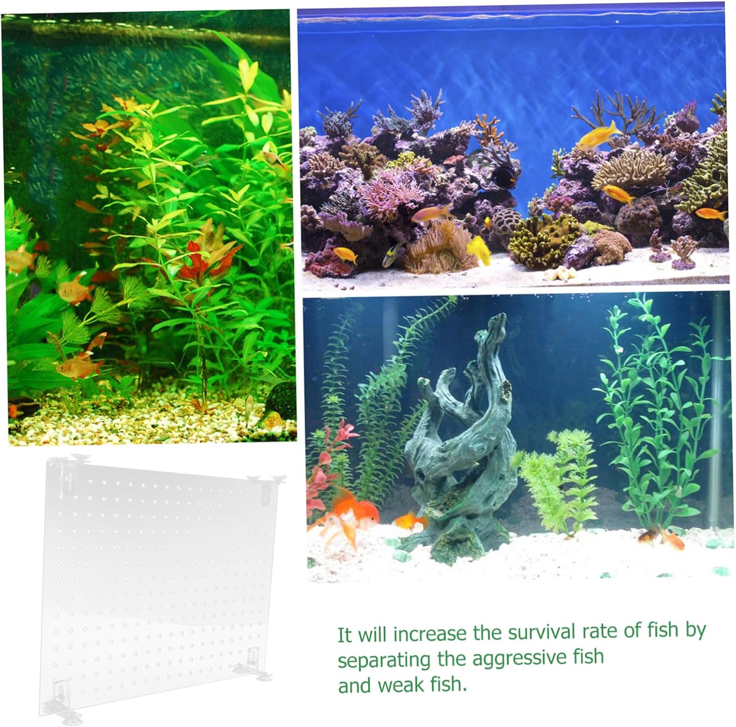 BESPORTBLE 1set Acrylic Fish Tank Divider Isolation Board for Aquariums Create Peaceful Environment for Betta Goldfish More Easy Installation with Suction Cups