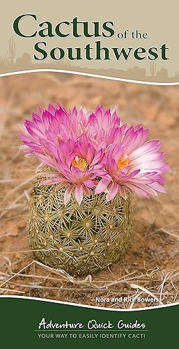 Cactus of the Southwest: Your Way to Easily Identify Cacti