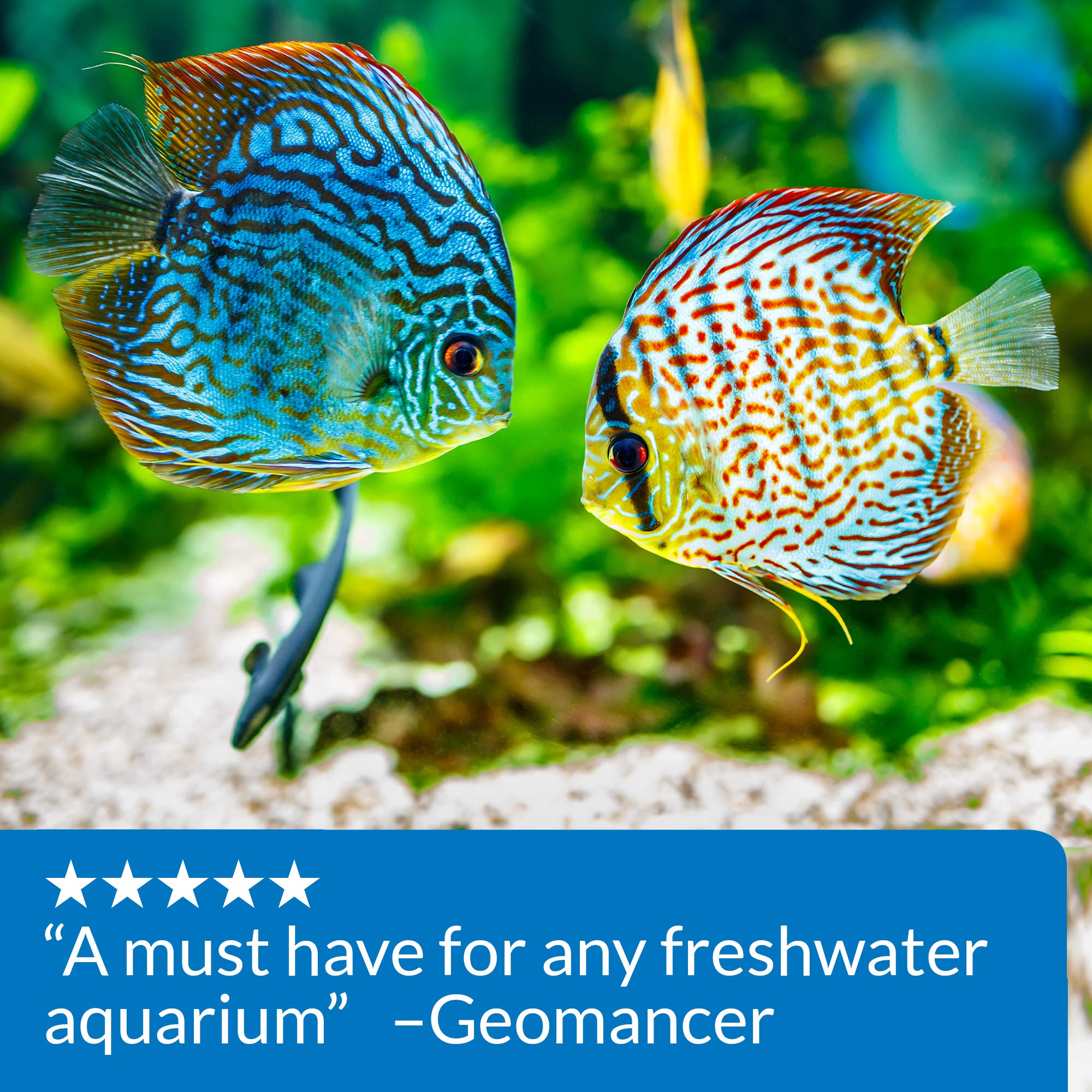 Buy API FRESHWATER MASTER TEST KIT 800Test Freshwater Aquarium Water