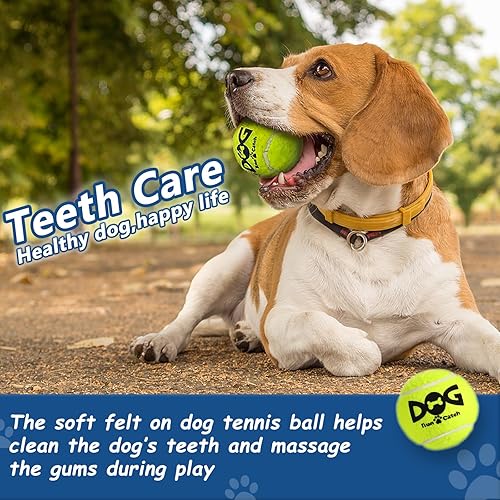 Miniatura 4 de Pelotas de tenis para perros pequeños, paquete de 12 coloridas pelotas de perro fáciles de atrapar (2.0 pulgadas, 4 colores)