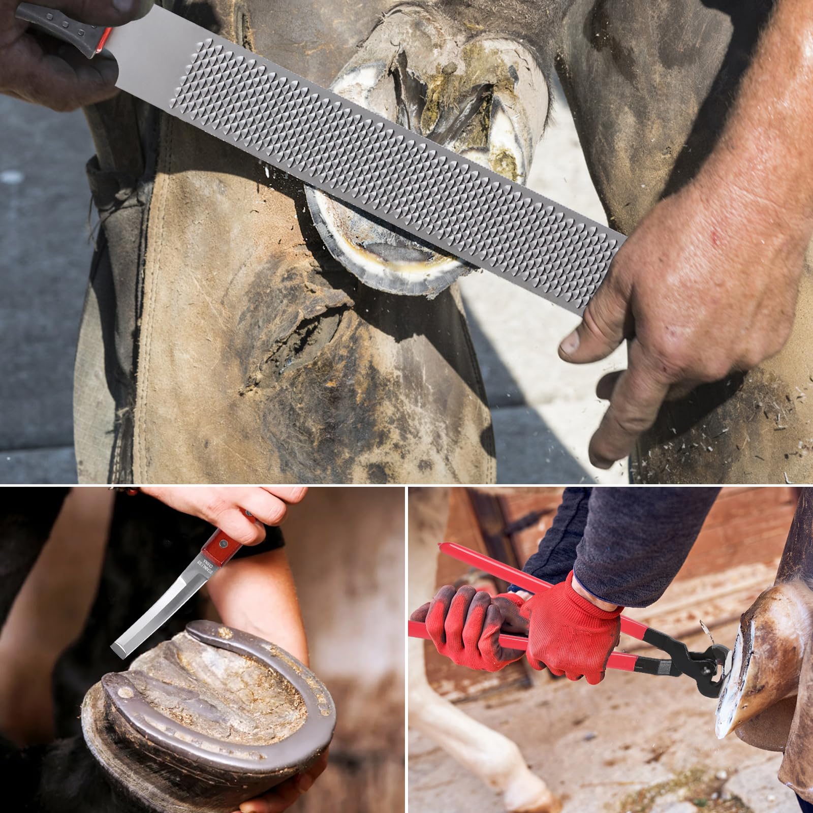 LALAGO Kit de Herramientas Profesionales para Recorte de Casco de Caballo de 4 Piezas, Cuchillo para Casco, Cortador de Casco, Raspador de Casco con Mango de Goma, Guantes