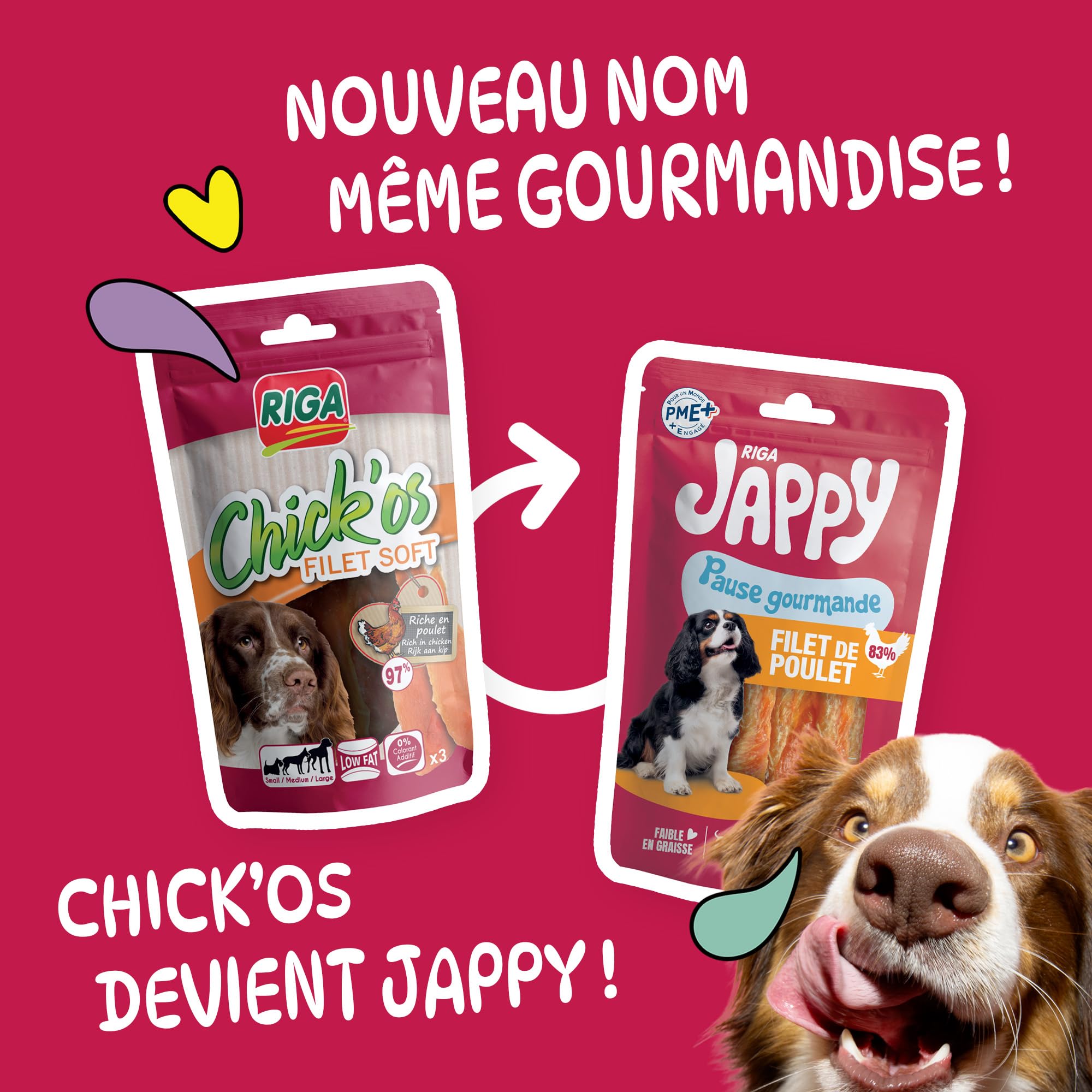 RIGA - Jappy Filet de Poulet + Mini Stick - Friandise Chien - Riche En Poulet - Riche En Protéines & Collagène - Faible En Matière Grasse - Sans Colorant Ni Peau De Boeuf - 65 g