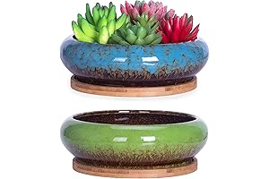 ARTKETTY Succulent Pots, 7.3 Inch Shallow Bonsai Pots | Drainage Ceramic Pots...